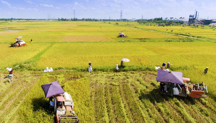 Đưa nông nghiệp, nông dân, nông thôn lên tầm cao mới
